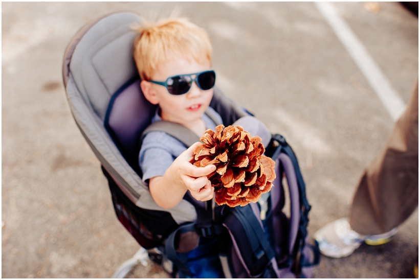 "California Family Photography"