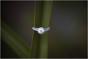 "BooneHall Plantation Engagement shoot"