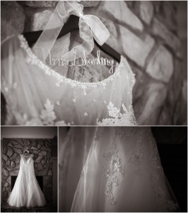 "Photographs by Andrea Wedding"