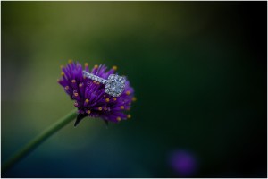 "Hampton Park Charleston Engagement"