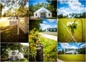 "Wildberry Farm SC Wedding"