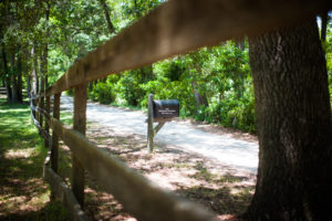 "Old Wide Awake Plantation Wedding"