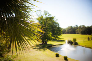 "Old Wide Awake Plantation Wedding"