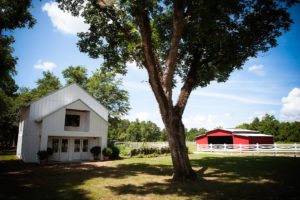 "Wildberry Farm Wedding"